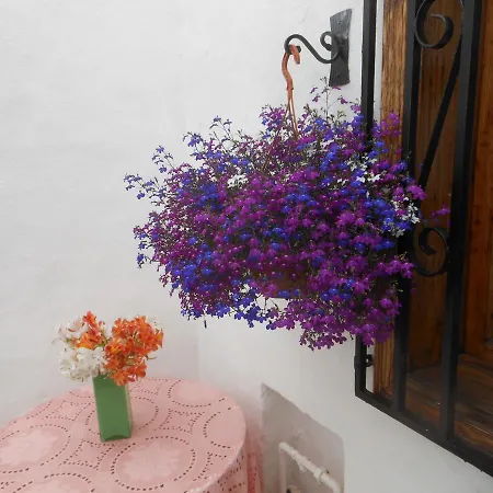 Maison Chayofita Tenerife לינה וארוחת בוקר קוסטה דל סילנסיו