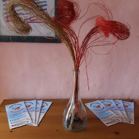 Panzió Maison Chayofita Tenerife